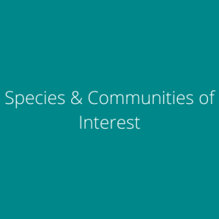 Species & Communities of Interest