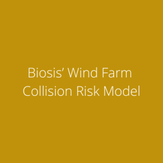 Biosis’ Wind Farm Collision Risk Model accepted for publication