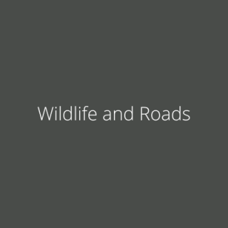 Wildlife and Roads