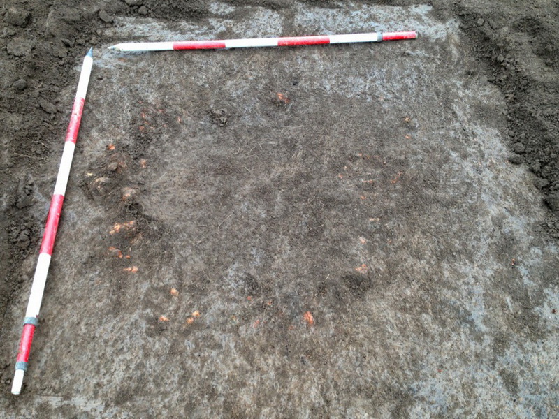 A clay ball hearth (oven) found at Yea, as first discovered.  Note the exposed ring of reddish burnt clay lumps (clay balls) which define the rim of the infilled hearth.  