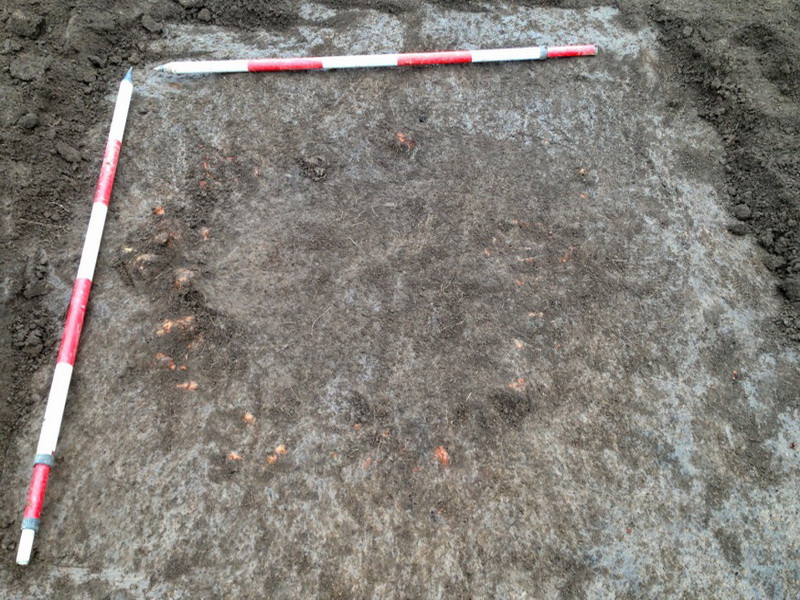A clay ball hearth (oven) found at Yea, as first discovered. Note the exposed ring of reddish burnt clay lumps (clay balls) which define the rim of the infilled hearth.