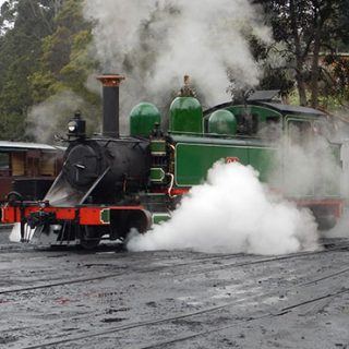 Ecology and heritage advice for the Puffing Billy Railway