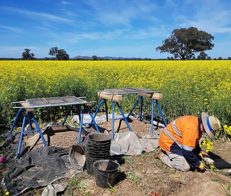 EOI: Casual Field Staff in NSW (all disciplines)