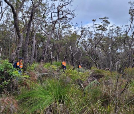 Senior Ecologist/Botanist (VIC)