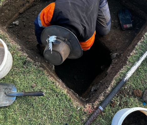 Heritage Consultant