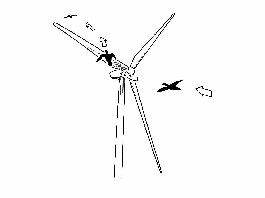 Collision risk modelling diagram