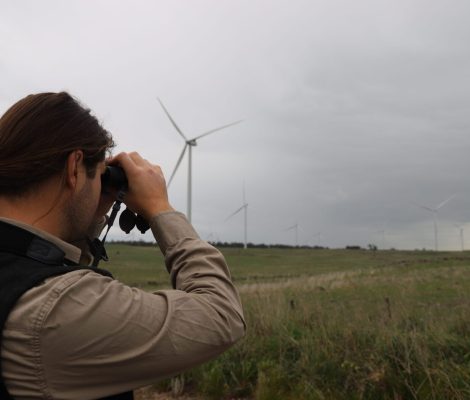 Senior Ecologist – Major Projects
