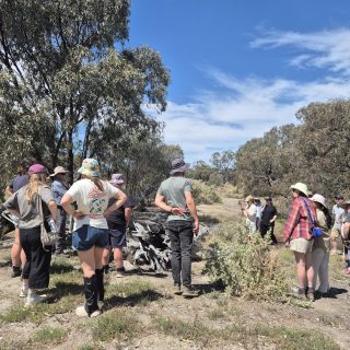Biosis Learning and Development Program brings cultural heritage team to the Lake of Scars, the Loddon Valley