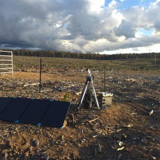 Biosis combines thermal technology and ultrasonic call detection to monitor at-height bat behaviour in Australia