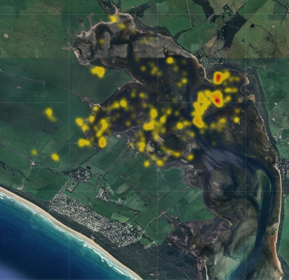 Biosis GPS data waterbird habitat use in southeastern Victoria Biologging