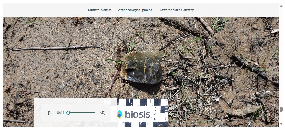 ArcGIS Storymap Sample Archaeology