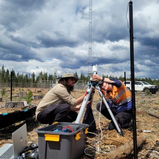 Biosis combine thermal video and ultrasonic calls with AI to monitor at-height microbat behaviour at windfarms in Australia