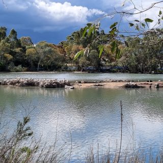 Award-winning project – the Peter Hopper Lake Revitalisation
