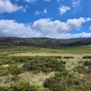 Guidelines released for Victoria’s Cultural Heritage Management Plan (CHMP) process
